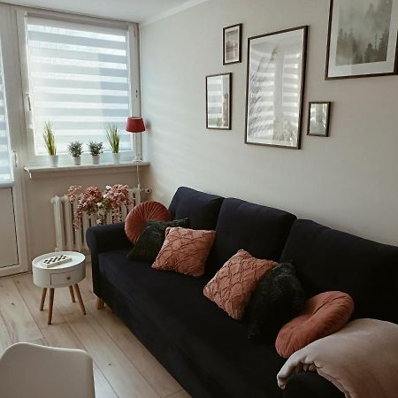 Апартаменты Apartament W Polanicy Поляница-Здруй Экстерьер фото